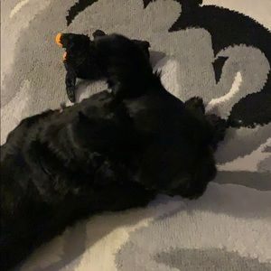 Meet your Posher, Nancy